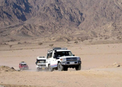 Ochtend quad-safaritocht in Hurghada